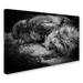 Trademark Fine Art 'Sleeping' Photographic Print on Wrapped Canvas Metal in Black/White | 22 H x 32 W x 2 D in | Wayfair 1X00349-C2232GG