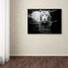 Trademark Fine Art 'Looking at Me Looking at You' Photographic Print on Wrapped Canvas in White/Black | 35 H x 47 W x 2 D in | Wayfair