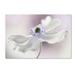 Trademark Fine Art 'Anemone Breeze' Graphic Art Print on Wrapped Canvas in White | 30 H x 47 W x 2 D in | Wayfair 1X02860-C3047GG