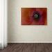 Trademark Fine Art "Poppy Detail" by Kurt Shaffer Photographic Print on Wrapped Canvas Canvas | 16 H x 24 W x 2 D in | Wayfair KS0177-C1624GG