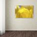 Trademark Fine Art "Yellow Tulip Double Exposure" by Kurt Shaffer Photographic Print on Wrapped Canvas Canvas | 16 H x 24 W x 2 D in | Wayfair