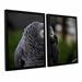 ArtWall Parrot by Lindsey Janich 2 Piece Framed Photographic Print on Wrapped Canvas Set Canvas in White | 24 H x 36 W x 2 D in | Wayfair