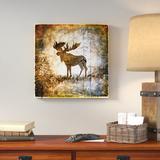 Loon Peak® 'High Country Moose' Graphic Art Print on Wrapped Canvas in Gray/Green/Orange | 14 H x 14 W x 2 D in | Wayfair LNPK7293 39248074