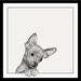 Latitude Run® 'Sweet Chihuahua Dog-Cute Puppy Looking at You' Framed Graphic Art on Canvas Print on Canvas Poster Paper, in Gray/White | Wayfair