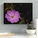 Latitude Run® Pink Cosmos Flower Photographic Print on Wrapped Canvas in Brown/Pink | 18 H x 24 W x 2 D in | Wayfair LTRN8437 30967154