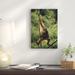 East Urban Home Borneo 'Orangutan Juvenile Hanging on Liana' - Photograph Print on Canvas in White | 36 H x 24 W x 1.5 D in | Wayfair