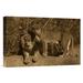 East Urban Home Native to Africa 'African Lion Male & African Lioness' Photographic Print on Wrapped Canvas in Brown | Wayfair NNAI5282 39916127