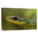 East Urban Home Ecuador Mindo Cloud Forest Ecosystem 'Mountain Sipo Close-Up of Head' - Photograph Print on Canvas in Green | Wayfair