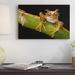 East Urban Home Chachi Tree Frog Adult - Photograph Print on Canvas in Black/Brown/Green | 12 H x 18 W x 1.5 D in | Wayfair NNAI2416 39913258