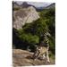 East Urban Home Madagascar Near Andringitra Mountains 'Ring-Tailed Lemur' - Photograph Print on Canvas in Gray/Green | Wayfair NNAI3355 39914199