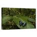 East Urban Home On A Leaf 'Morpho Butterfly Butterfly' - Photograph Print on Canvas in Green | 12 H x 18 W x 1.5 D in | Wayfair NNAI6545 39917399