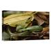 East Urban Home Ecuador Mindo Cloud Forest 'Mountain Sipo Coiled Among Leaf Litter' - Photograph Print on Canvas in Brown/Green | Wayfair