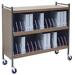 Omnimed Big Beam Large 24 Cap Cabinet Style File Cart Metal in Brown/Gray | 43.75 H x 49.75 W x 17 D in | Wayfair 261530-WG