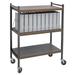 Omnimed Standard 10 Cap Vertical Chart File Cart Metal in Brown/Gray | 43.75 H x 34.5 W x 17 D in | Wayfair 260001-WG