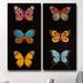 Red Barrel Studio® Butterfly Trio I/II by Hope Hansen - 2 Piece Graphic Art Print Set on Canvas Canvas, in Black/Green | Wayfair RBRS1076 39124604