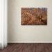 Trademark Fine Art 'Beaver Creek 6' by Jason Shaffer Photographic Print on Wrapped Canvas in Orange | 12 H x 19 W x 2 D in | Wayfair JS0019-C1219GG