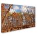 Trademark Fine Art 'Beaver Creek 8' by Jason Shaffer Photographic Print on Wrapped Canvas in White | 30 H x 47 W x 2 D in | Wayfair JS0021-C3047GG
