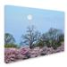 Trademark Fine Art 'Spring Moon 2' by CATeyes Photographic Print on Wrapped Canvas in White/Black | 35 H x 47 W x 2 D in | Wayfair MZ0377-C3547GG