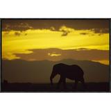 East Urban Home 'African Elephant Silhouetted at Sunset' Framed Photographic Print on Canvas in Black/Gray/Yellow | 16 H x 24 W x 1.5 D in | Wayfair