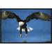 East Urban Home 'Bald Eagle Flying' Framed Photographic Print on Canvas in Black/Blue | 12 H x 18 W x 1.5 D in | Wayfair URBH5438 38226136