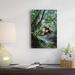 East Urban Home 'Bromeliads Growing In Trees Along Stream' Photographic Print on Canvas in Green | 24 H x 16 W x 1.5 D in | Wayfair