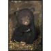 East Urban Home 'Black Bear 7 Week Old Cub' Framed Photographic Print on Canvas in Black/Brown/Green | 30 H x 20 W x 1.5 D in | Wayfair