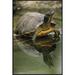 East Urban Home 'Yellow-Bellied Slider Turtle' Framed Photographic Print on Canvas in White | 36 H x 24 W x 1.5 D in | Wayfair URBH4214 38221270