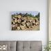 East Urban Home 'Timber at a Logging Area' Photographic Print on Canvas in Brown/Green | 16" H x 24" W x 1.5" D | Wayfair URBH8326 38406645