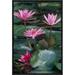 East Urban Home 'Water Lily Hybrid Blossoms & Lily Pads' Framed Photographic Print on Canvas in Green/Pink | 18 H x 12 W x 1.5 D in | Wayfair