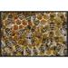 East Urban Home 'Honey Bees on Honeycomb Filled w/ Honey' Framed Photographic Print on Canvas in Brown | 16 H x 24 W x 1.5 D in | Wayfair