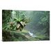East Urban Home 'Bromeliads Growing Along Stream' Photographic Print on Canvas in White | 24 H x 36 W x 1.5 D in | Wayfair URBH7471 38403457