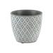 Bungalow Rose Diggs Cement Pot Planter Stone in Gray | 5 H x 5.25 W x 5.25 D in | Wayfair D75B5A6E1CFA470E9F93421CAE5AD0FB