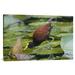 East Urban Home 'Northern Jacana Foraging on Lily Pads' Photographic Print on Canvas in White | 24 H x 36 W x 1.5 D in | Wayfair URBH8436 38407065