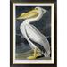 Global Gallery American White Pelican by James Audubon - Picture Frame Graphic Art Print on Canvas Canvas, in Black | Wayfair GCF-264573-36-190