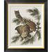 Global Gallery Little Screech Owl or Mottled Owl by John James Audubon - Picture Frame Graphic Art Print on Canvas Canvas, in Black/Green | Wayfair