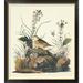 Global Gallery Yellow-Winged Sparrow by John James Audubon - Picture Frame Graphic Art Print on Canvas Canvas, in Black | Wayfair GCF-198194-36-190