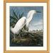 Global Gallery Snowy Heron by John James Audubon Framed Painting Print Metal | 40 H x 34.92 W x 1.5 D in | Wayfair DPF-265884-30-102