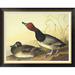 Global Gallery Red-Headed Duck by John James Audubon - Picture Frame Print on Canvas Canvas, Cotton in Brown | 30 H x 38 W x 1.5 D in | Wayfair