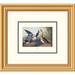 Global Gallery Shoveller Duck by John James Audubon Framed Painting Print Paper | 18 H x 20 W x 1.5 D in | Wayfair DPF-132762-0810-102