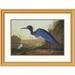 Global Gallery Blue Crane or Heron by John James Audubon Framed Painting Print Plastic | 26 H x 34 W x 1.5 D in | Wayfair DPF-118271-1624-102