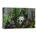 Global Gallery 'Wolf' by Mike Centioli Photographic Print on Wrapped Canvas in Brown/Green | 14.7 H x 22 W x 1.5 D in | Wayfair GCS-461748-22-142