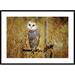 Global Gallery Barn Owl Perching among Dry Grasses, British Columbia, Canada by Tim Fitzharris Framed Photographic Print Paper in Brown | Wayfair