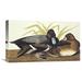 Global Gallery 'Scaup Duck' by John James Audubon Painting Print on Wrapped Canvas Canvas | 17.4 H x 30 W x 1.5 D in | Wayfair GCS-197907-30-142