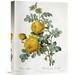 Global Gallery 'Rosa Sulfurea' by Pierre Joseph Redoute Painting Print on Wrapped Canvas Canvas | 30 H x 22.1 W x 1.5 D in | Wayfair