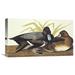 Global Gallery 'Scaup Duck' by John James Audubon Painting Print on Wrapped Canvas Metal | 23.2 H x 40 W x 1.5 D in | Wayfair GCS-197907-40-142