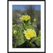 Global Gallery 'Opuntia Cactus Flowering, Little St. Simons Island, Georgia' Framed Photographic Print Paper in Green | Wayfair DPF-397916-2436-266