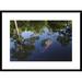 Global Gallery 'American Alligator on Surface, Okefenokee National Wildlife Refuge, Florida' Framed Photographic Print Paper in Blue/Green | Wayfair