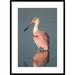 Global Gallery 'Roseate Spoonbill, Fort Myers Beach, Florida' Framed Photographic Print Paper in White | 36 H x 26 W x 1.5 D in | Wayfair