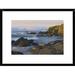 Global Gallery 'Northern Elephant Seals Resting on the Beach, Point Piedras Blancas, California' Framed Photographic Print Paper | Wayfair