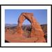 Global Gallery 'Delicate Arch & La Sal Mountains, Arches National Park, Utah' Framed Photographic Print in Blue/Brown | Wayfair DPF-396597-2835-266